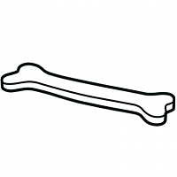chops bone